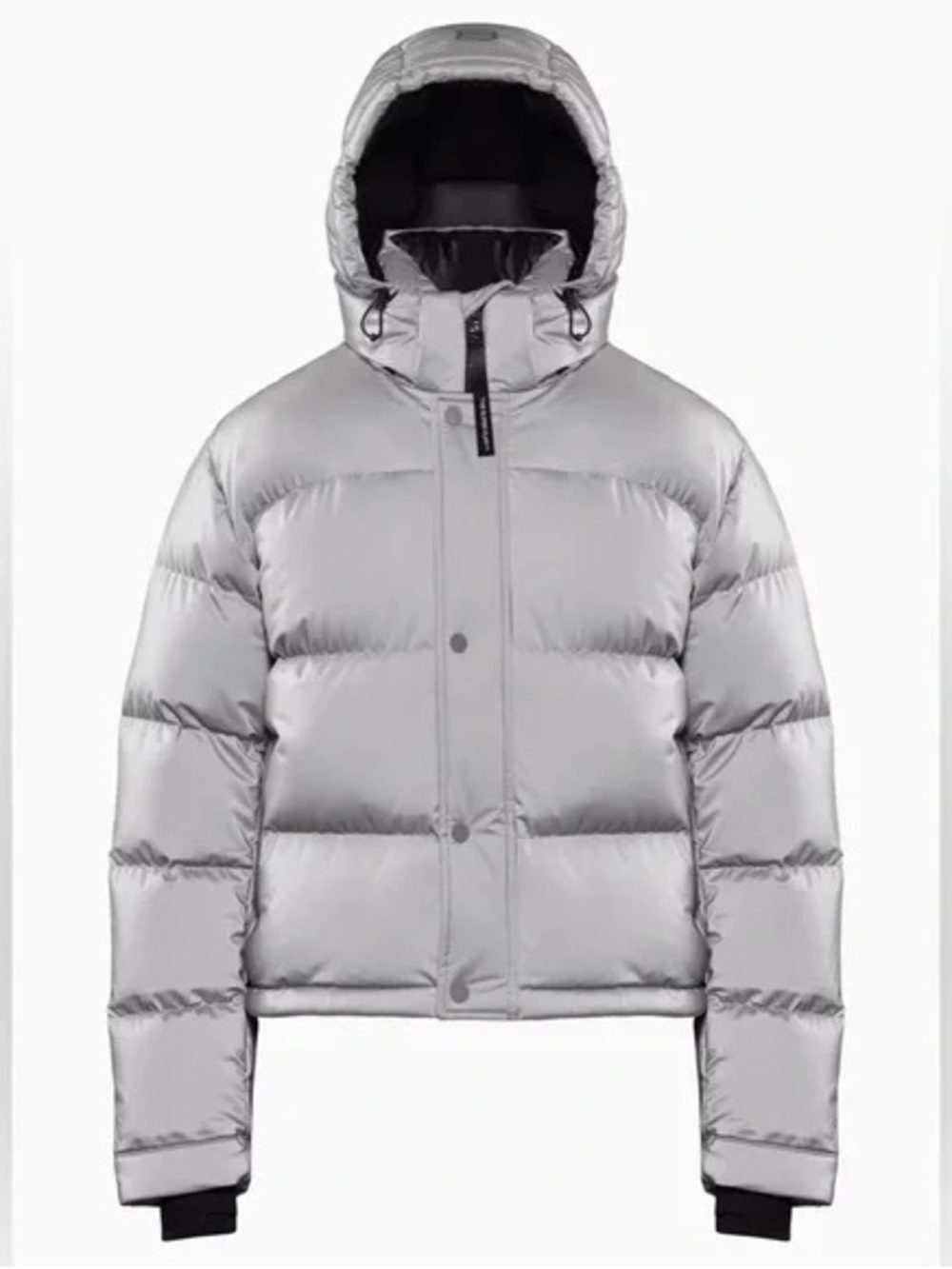 Aritzia Super Puff™ Shorty, Reflective powder coated goose-down puffer jacket - Picture 3 of 16